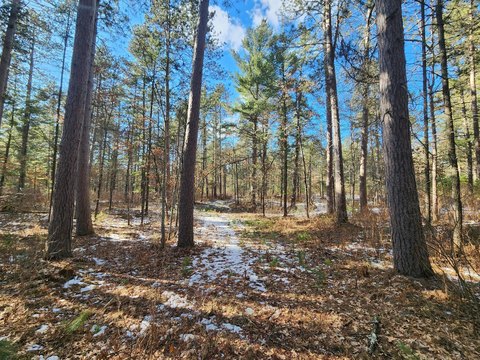 St Germain Wooded Acreage For Sale