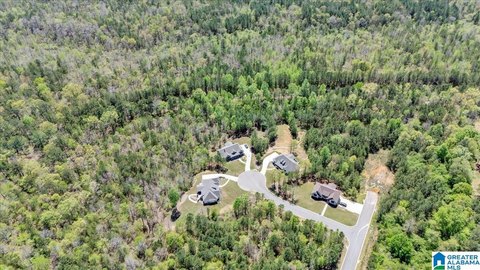LAND/LOTS, TRUSSVILLE, AL