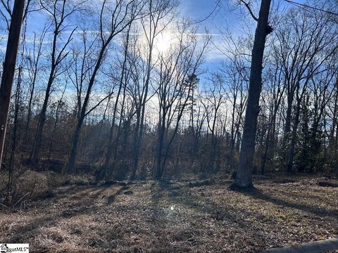 Residential Lot in Fountain Inn
