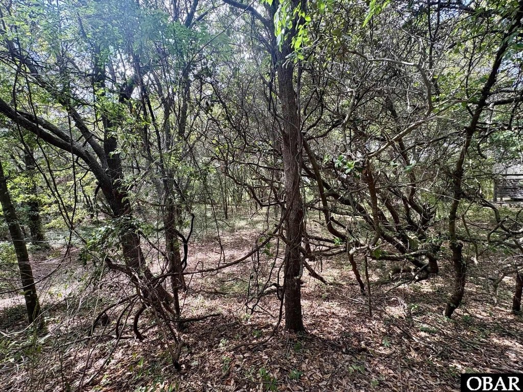 Picture 19