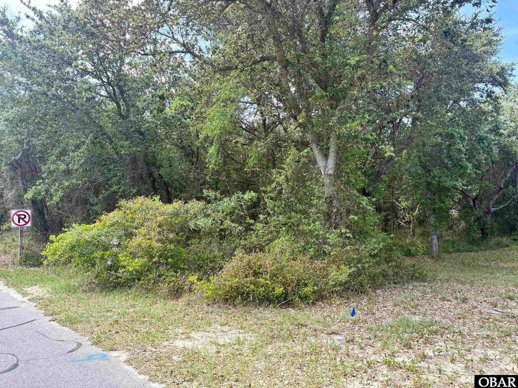 Picture 17
