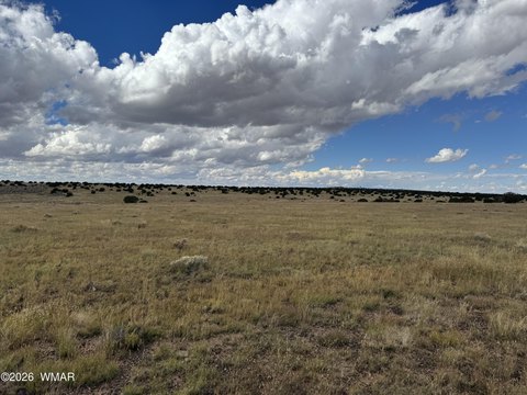 Land, Concho, AZ