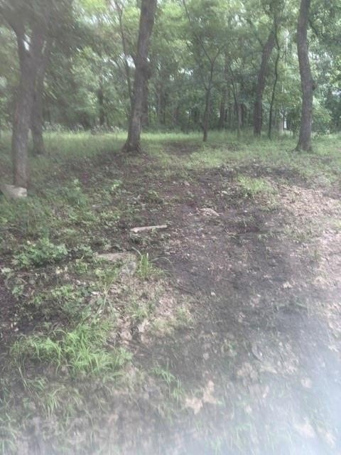 Picture 2