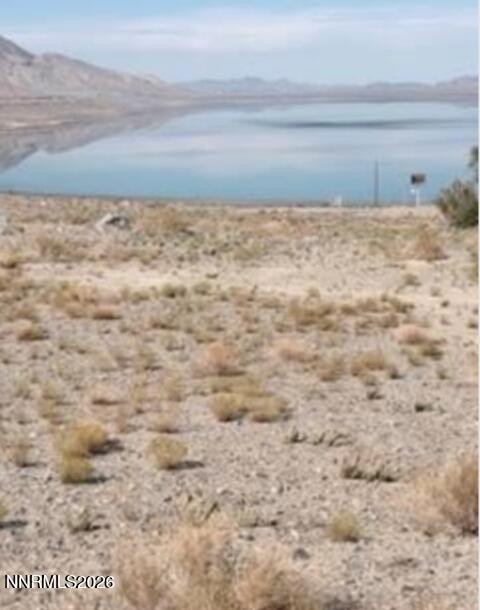 Picture 5
