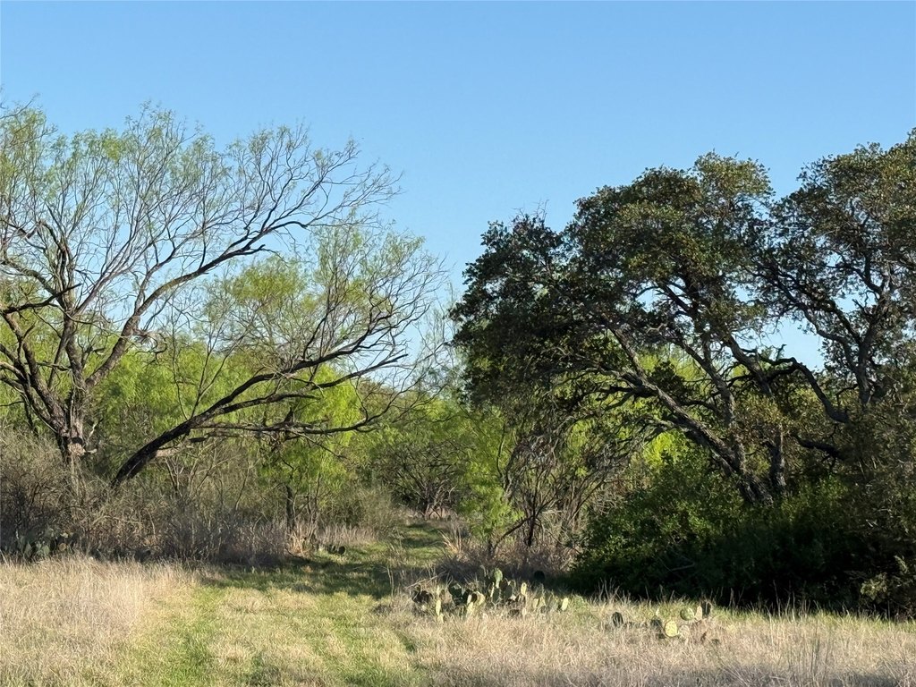 Picture 22