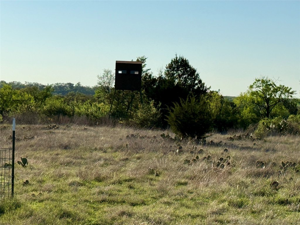 Picture 17