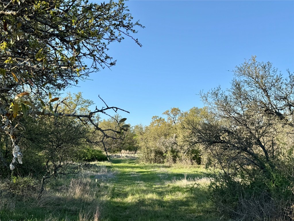 Picture 25