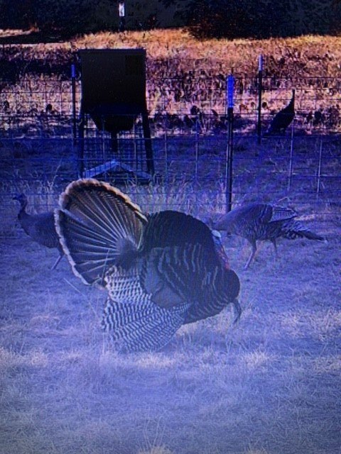 Picture 14