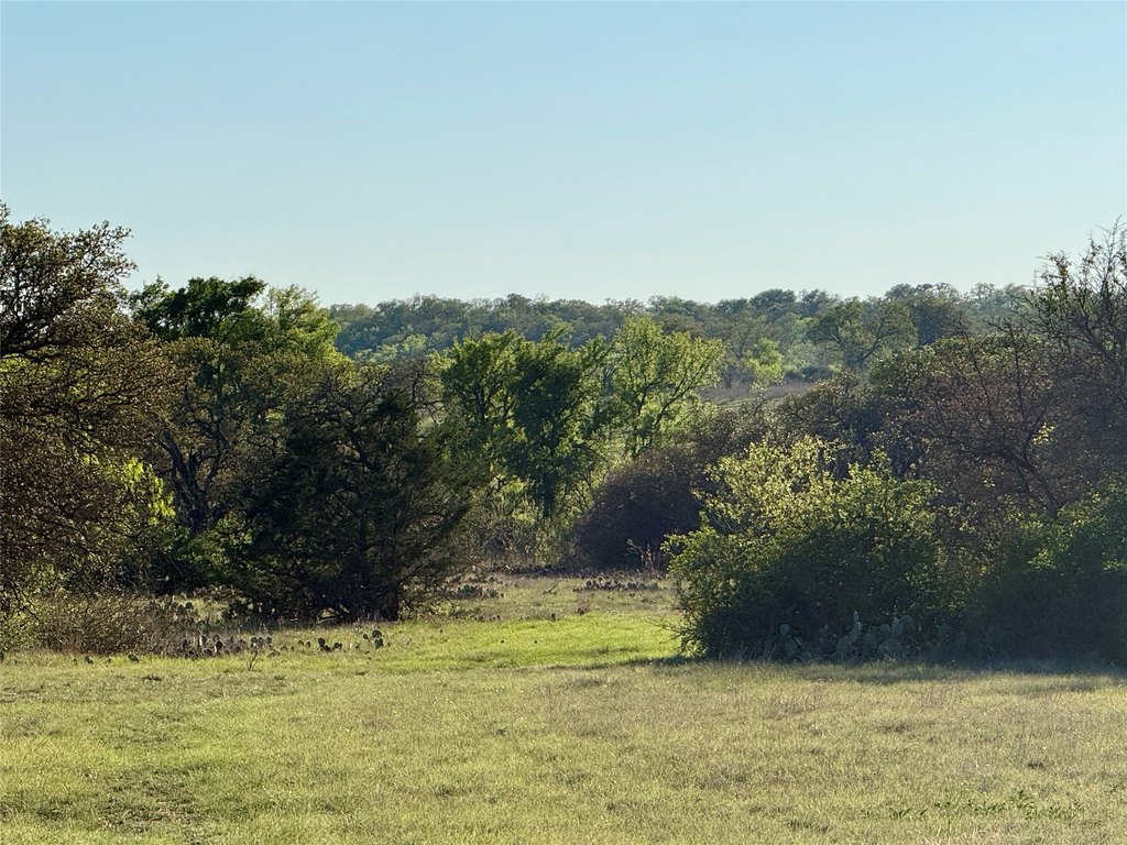 Picture 20