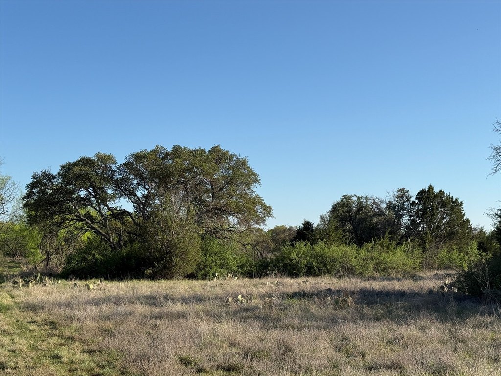Picture 21