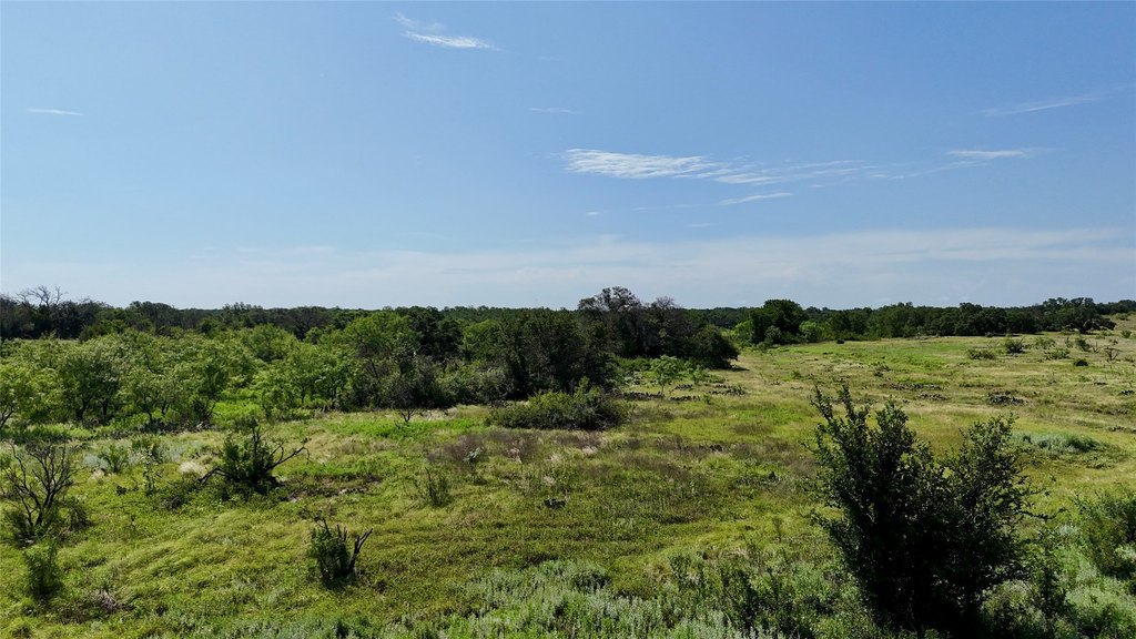Picture 26