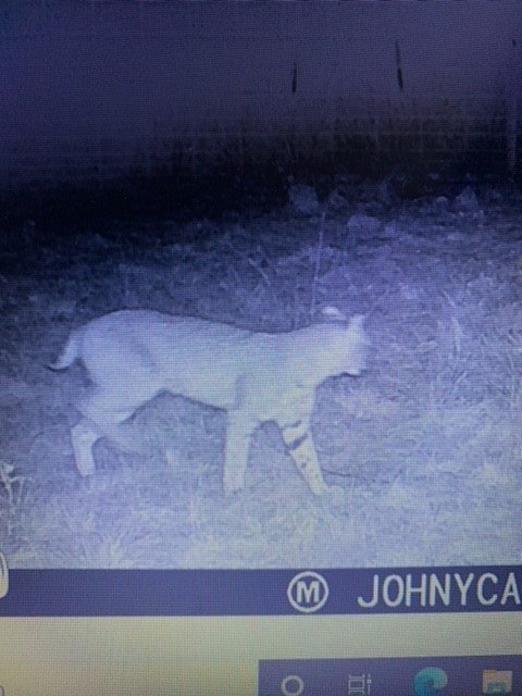 Picture 13
