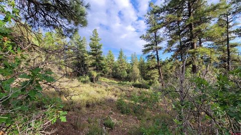 Land in Pagosa Springs, CO