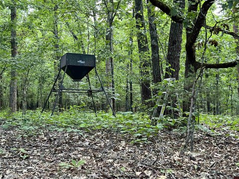 Ozark Hunting Land Near Rivers
