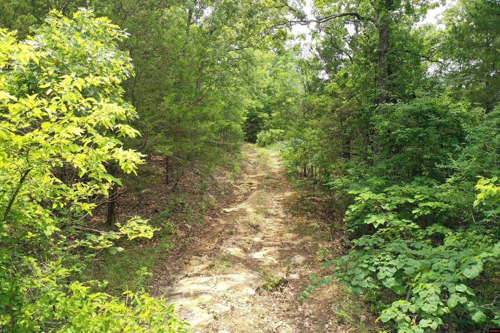 Picture 26