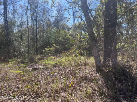 Seacliff Boulevard Land in Ocean Springs