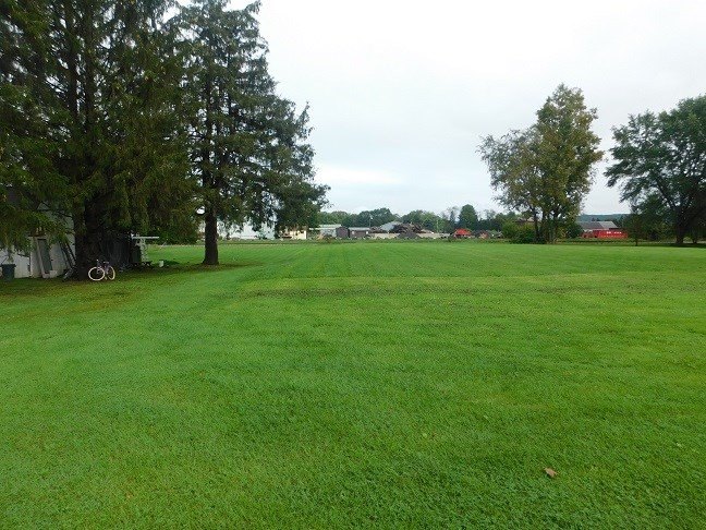 Picture 5