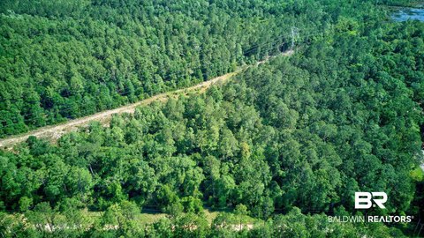 Timbered Hunting Land