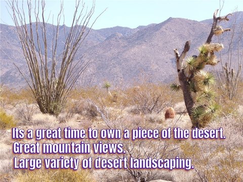 Land in Yucca, Arizona