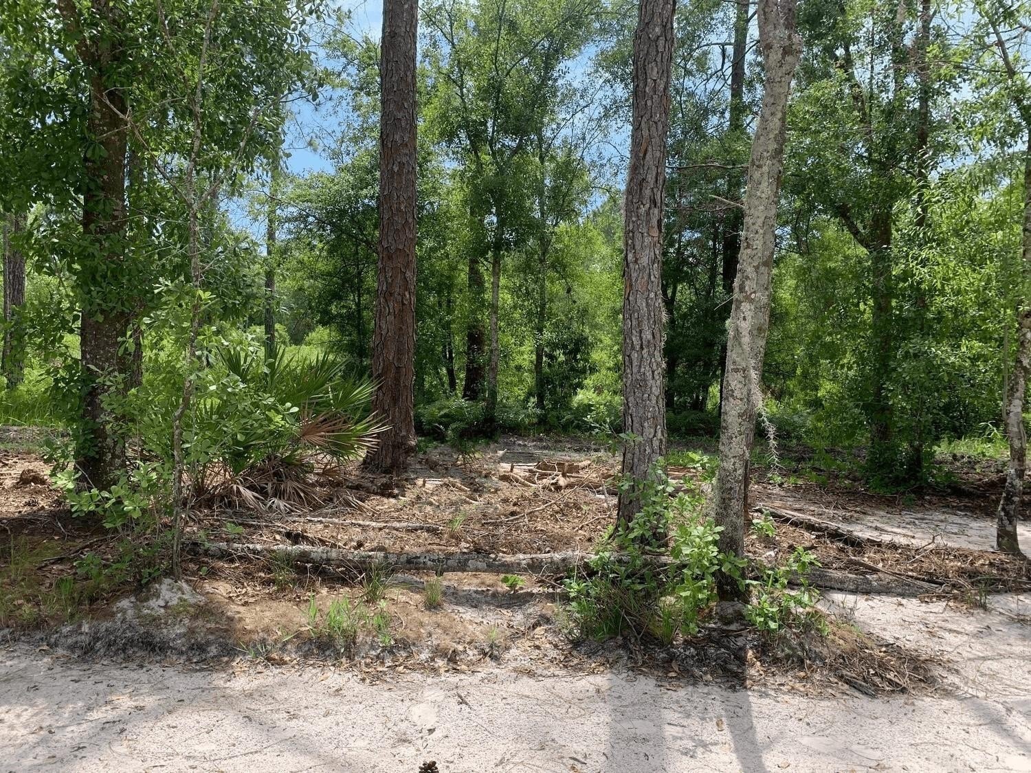 Rancho Bonito Acreage for Sale