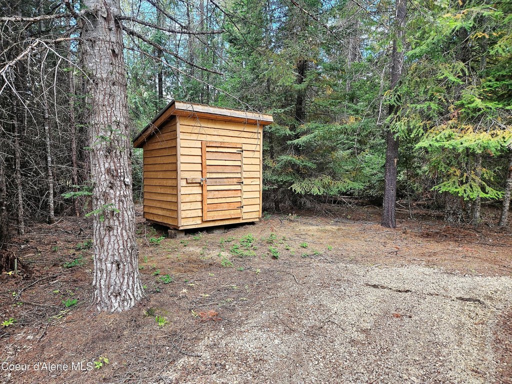 Picture 3