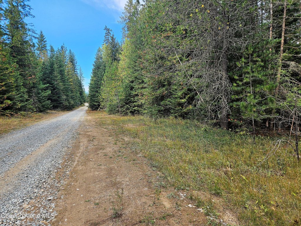 Picture 21
