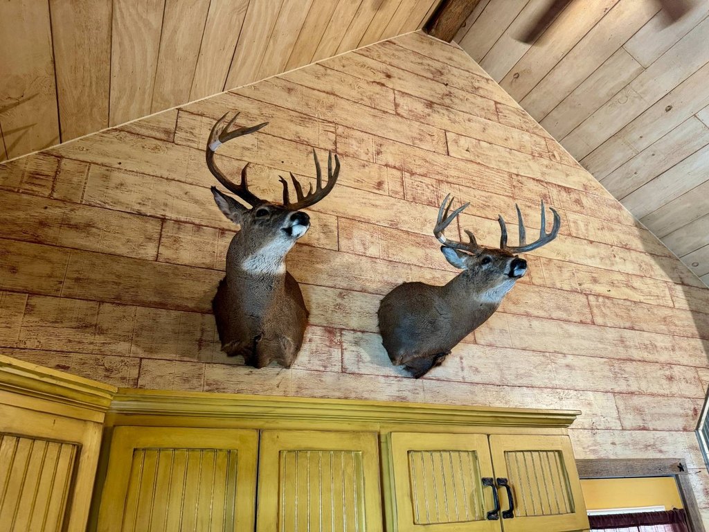 Picture 44