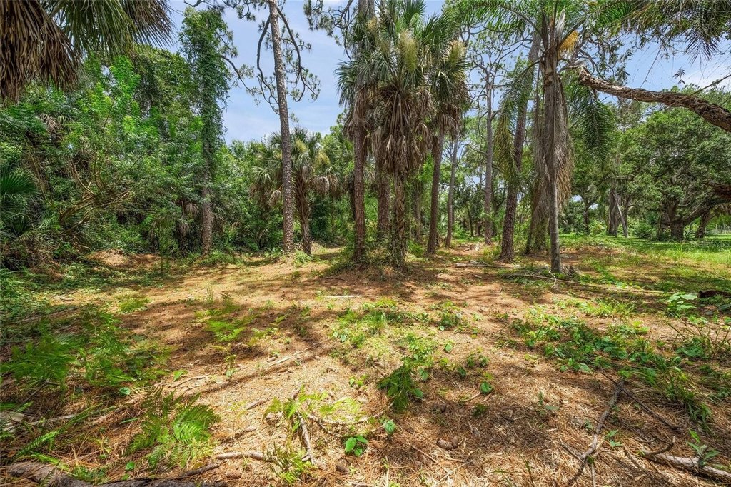 Picture 10