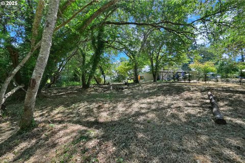 Buildable Lot Near Wayne Morse Ranch