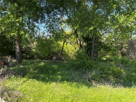 Blue Ridge Treed Residential Lot