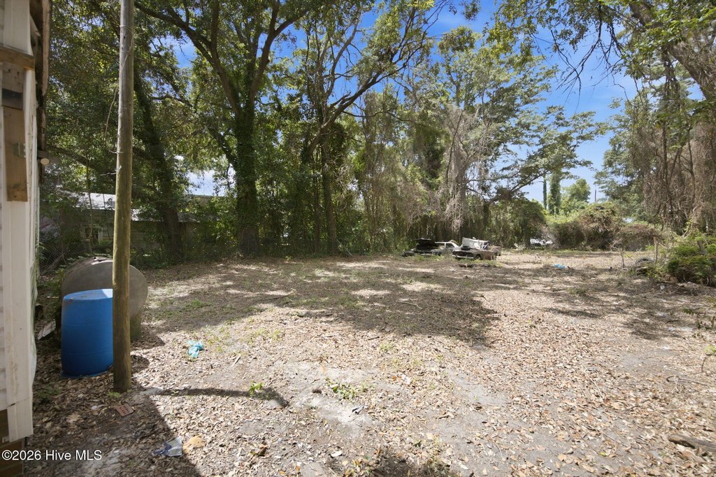 Picture 6