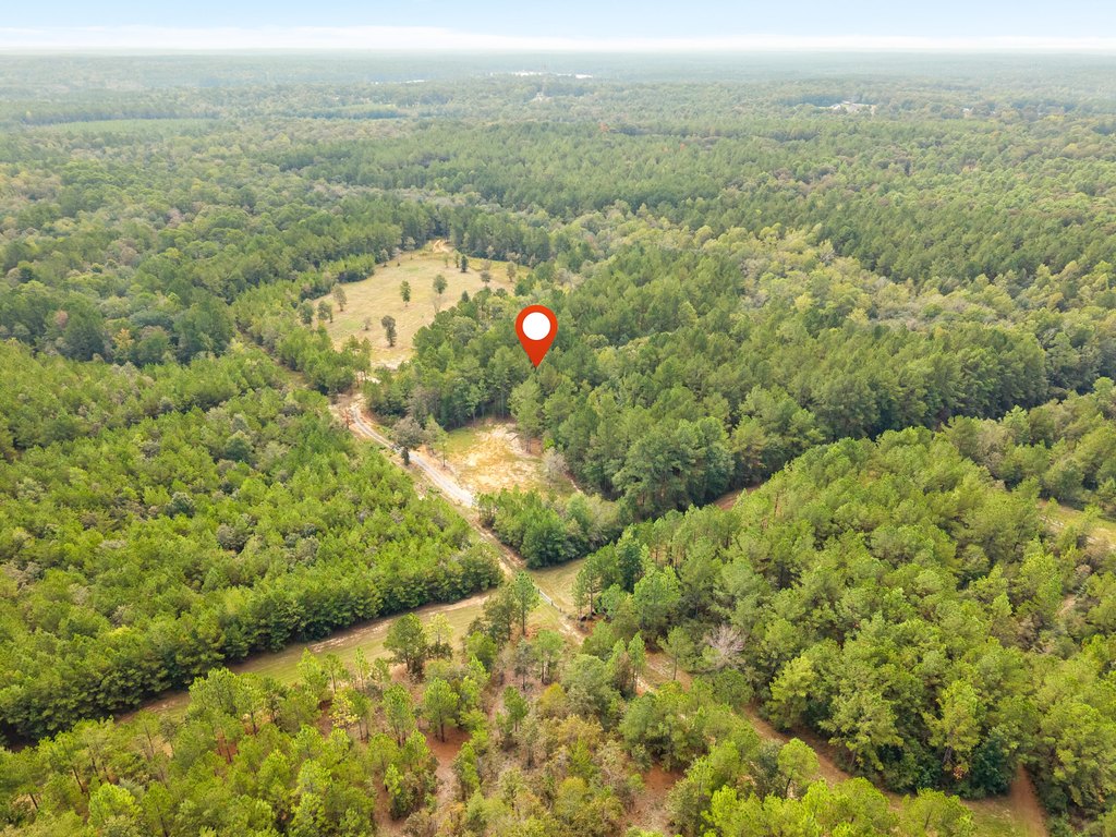 Picture 20