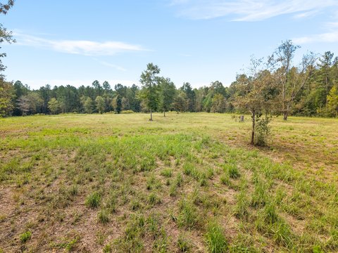 Land, Hattiesburg, MS