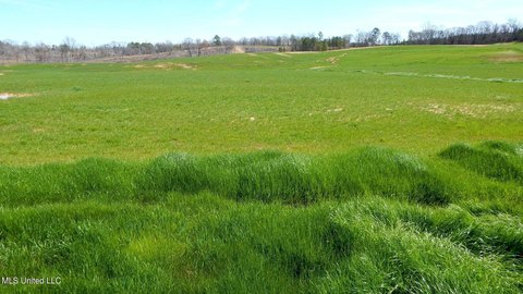 Gore Springs Land Near Grenada