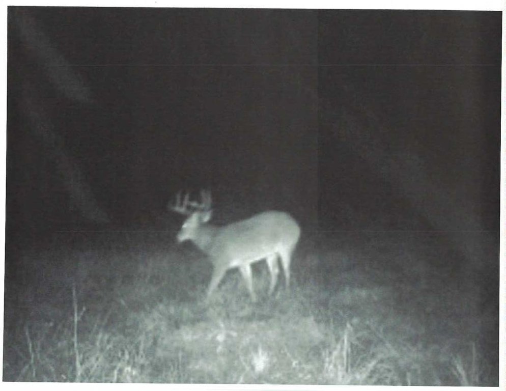 Picture 17