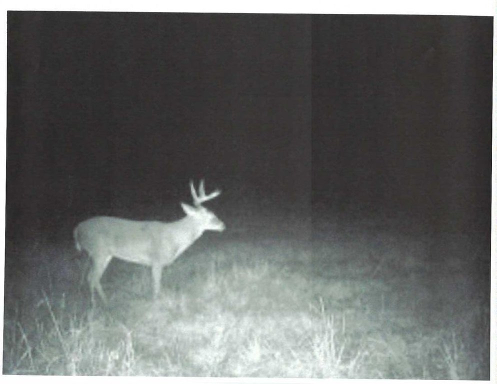 Picture 16