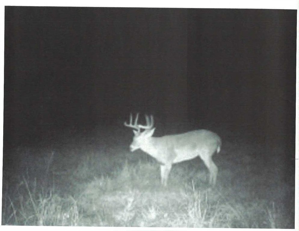 Picture 15