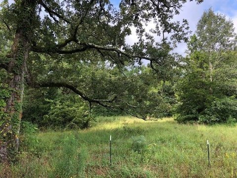 Henderson Land with Boundless Opportunities