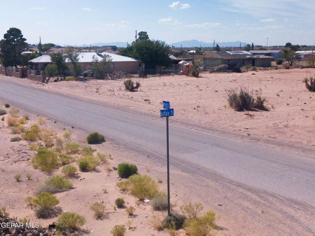 Picture 8