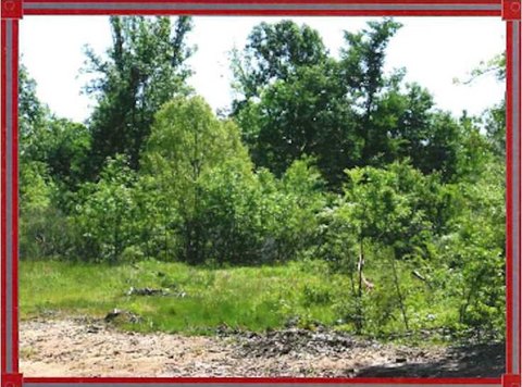 Land Available in Keithville, LA