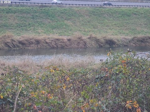 Land Near Coweeman River