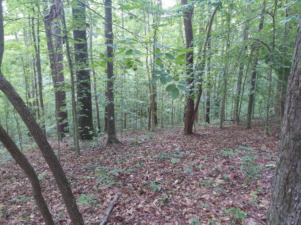 Picture 19