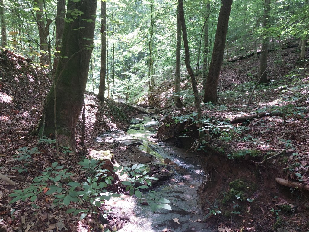 Picture 7