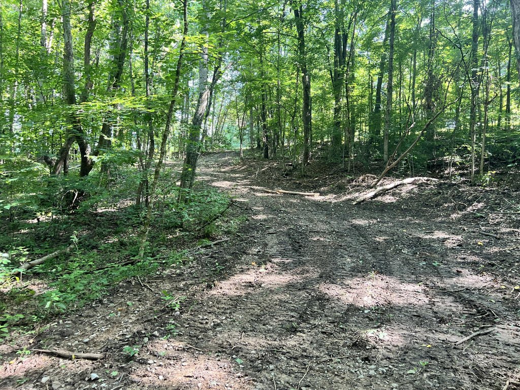 Picture 17