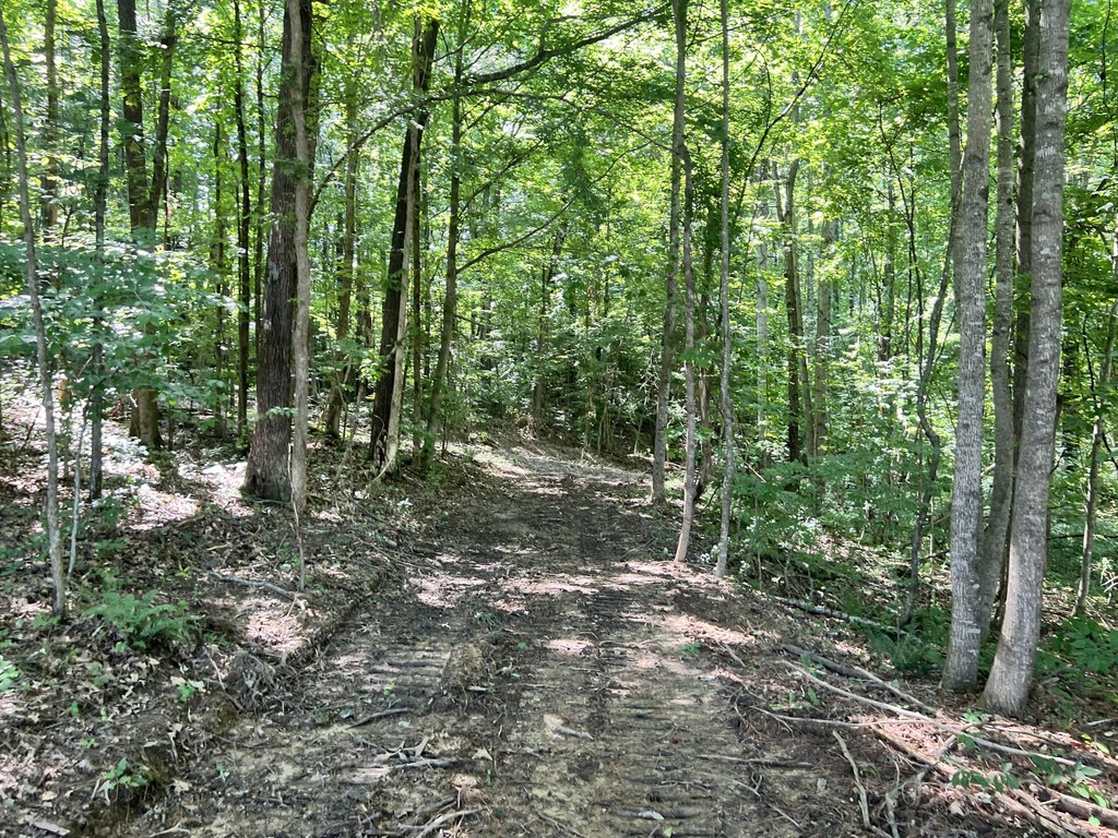Picture 16