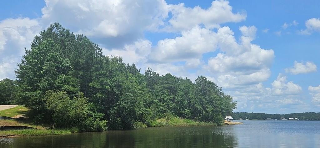 Waterfront Land on Big Bay Lake