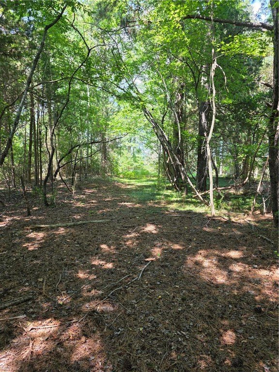 Picture 5