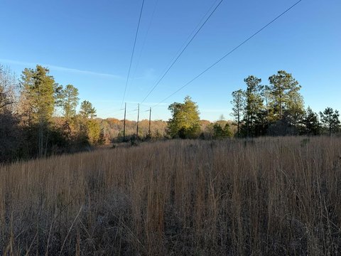 Calhoun Falls Residential Land Opportunity