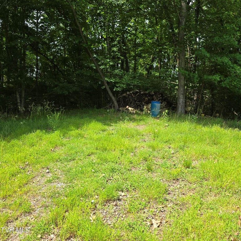 Picture 18