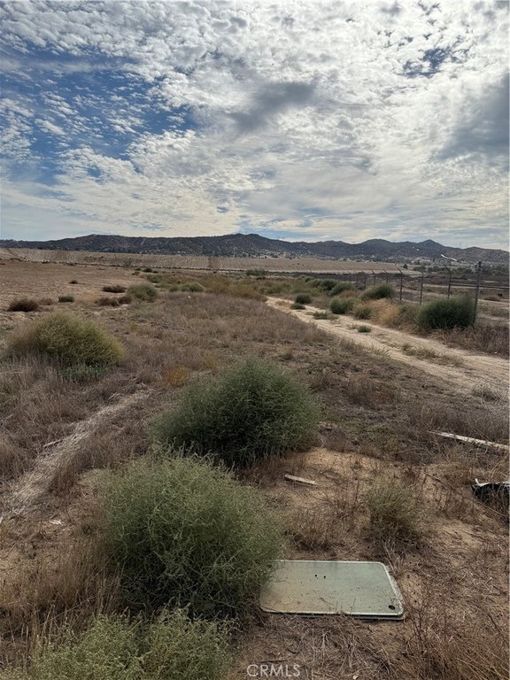 Picture 21